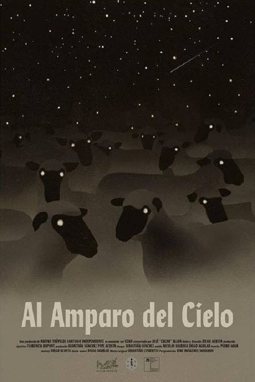 Póster oficial de Under the Sky Shelter (2022) - Documentary