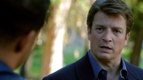 Castle: 7×8