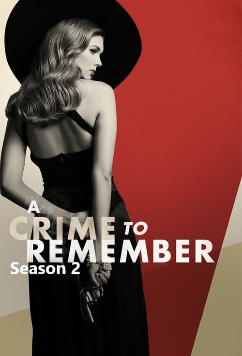 Where to stream A Crime to Remember Season 2