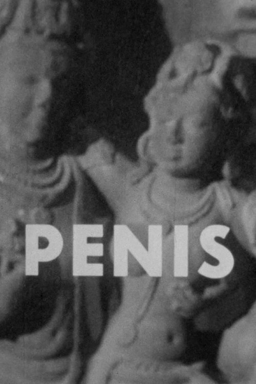 Penis cover