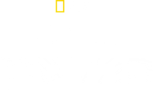 Miracle Landing on the Hudson logo