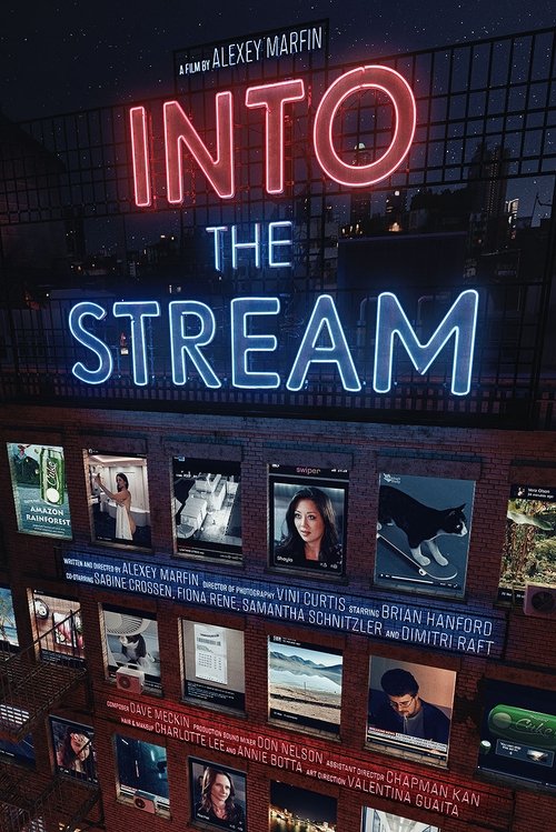 Into the Stream movie poster player