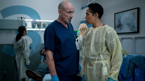 The Tunnel Under the Elms