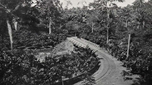 São Tomé e Príncipe