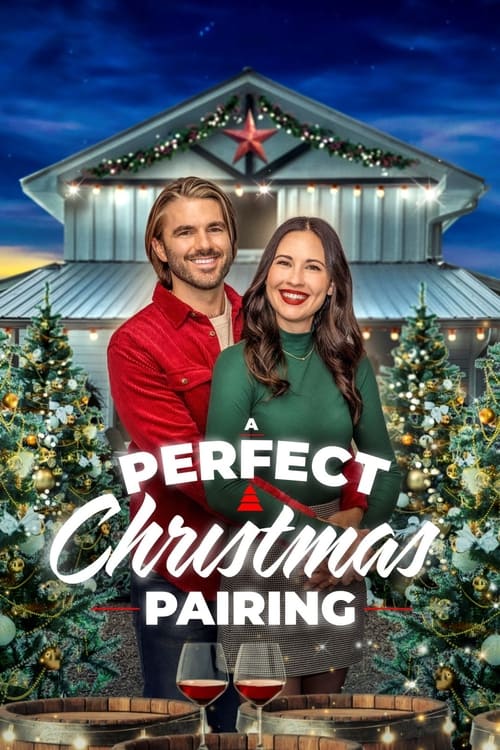 A Perfect Christmas Pairing (2023) poster