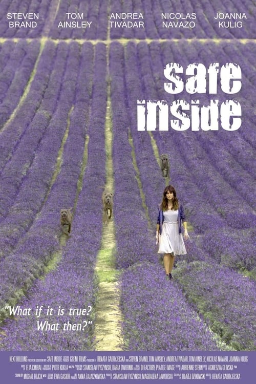 Safe Inside Poster