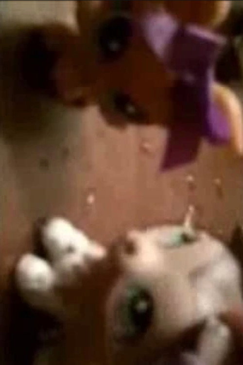 JFK and his Assassination