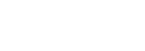 The Day We Lit Up The Sky