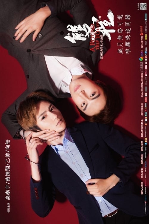 双程2 (2016) poster