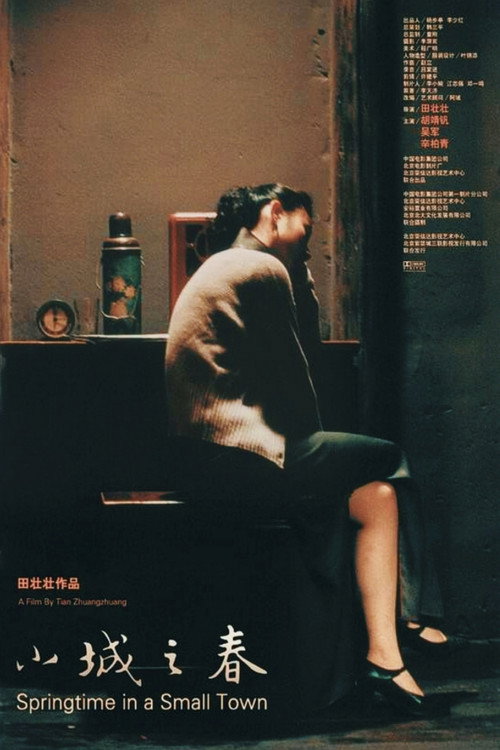 Springtime in a Small Town poster