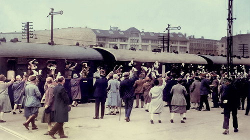 Aviation pioneers, train journeys, and ocean liners