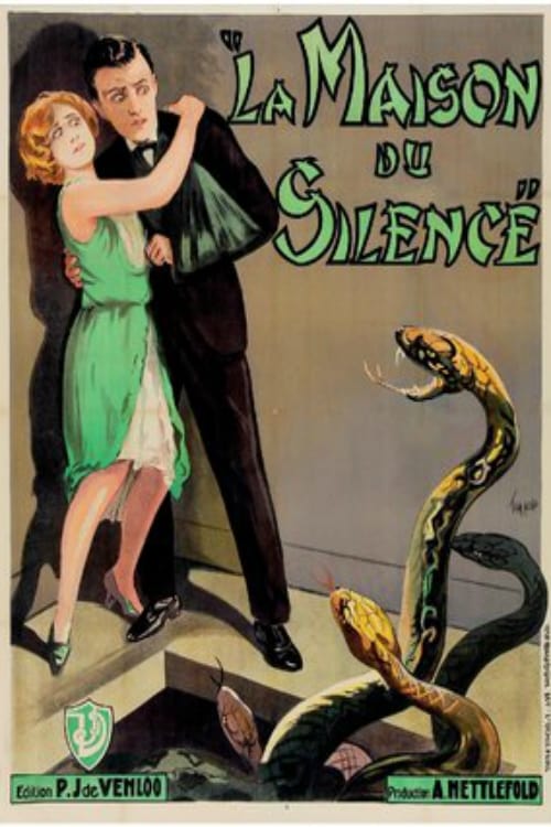 The Silent House (1929)