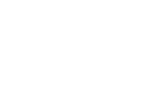 Born Racer