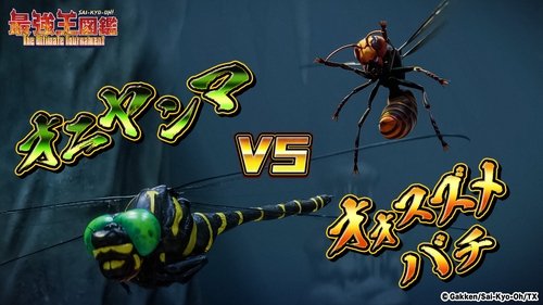 Épisode 15