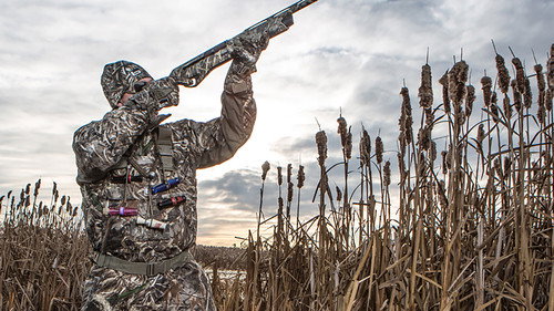 Outdoor Ch: The Fowl Life with Chad Belding - Season 1 Backdrop Blur