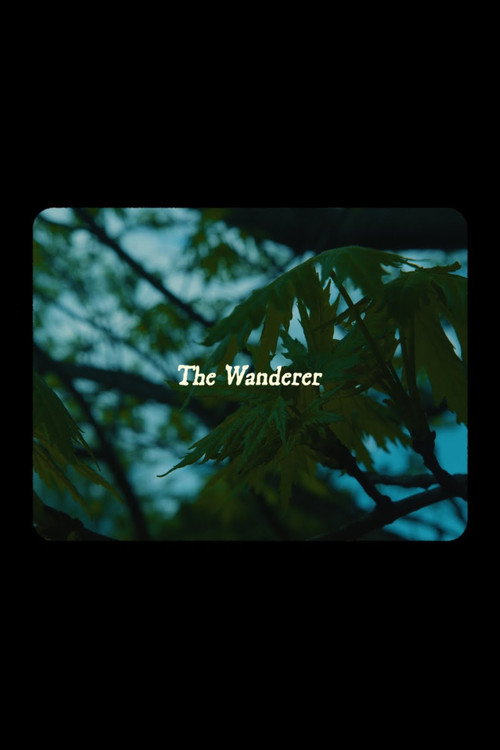 The Wanderer poster