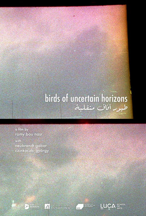 Birds of uncertain horizons