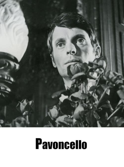 Poster Pavoncello 1967