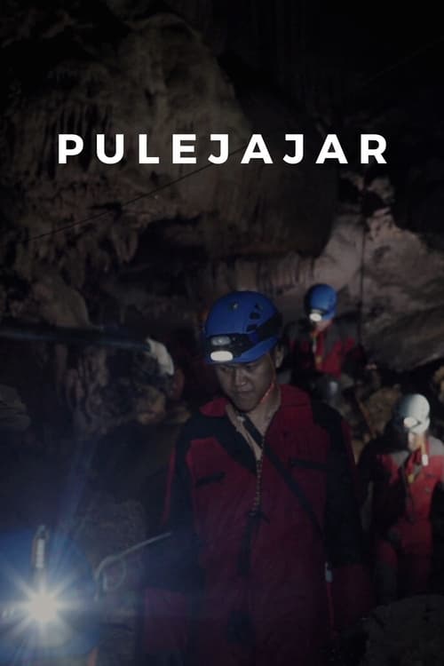 Pulejajar (2020)