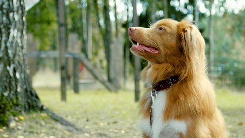 Image de l'épisode 6