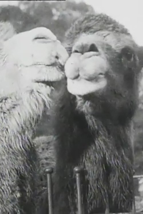 Our Advice This Festive Season