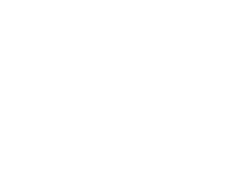 The Ice King