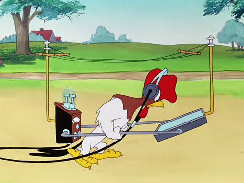 The Rattled Rooster