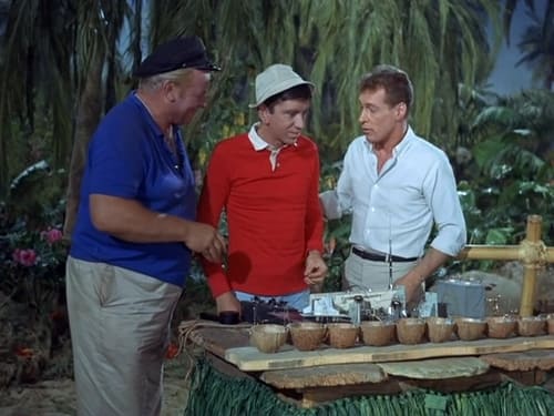 Poster della serie Gilligan's Island