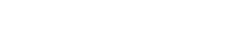 Desconexión: El organizador de bodas