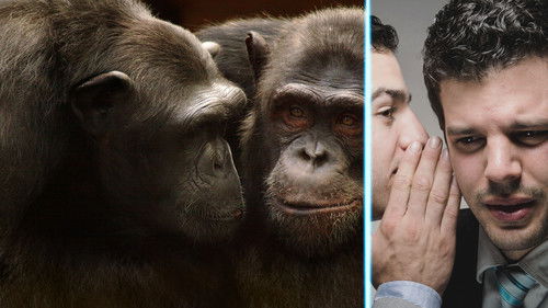 Escena 4 de Going Ape