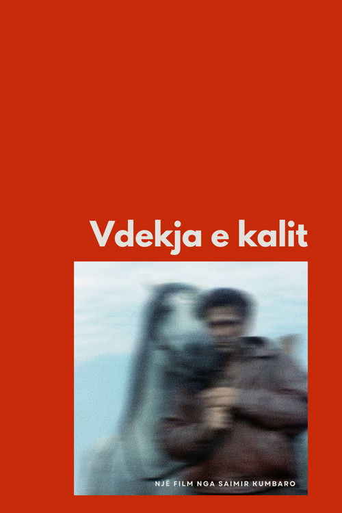 The Death of a Horse poster