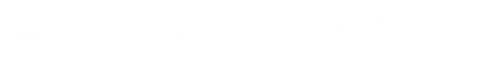 Шоу начинается