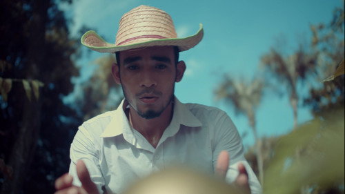 El totumo de oro Backdrop Blur