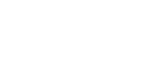 Lapsis
