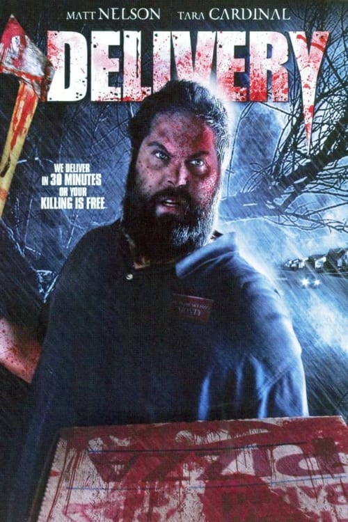 Delivery (2006) poster