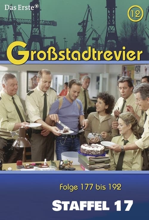 Where to stream Großstadtrevier Season 17