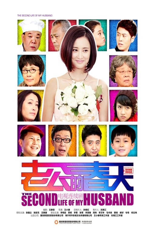 老公的春天 (2013)