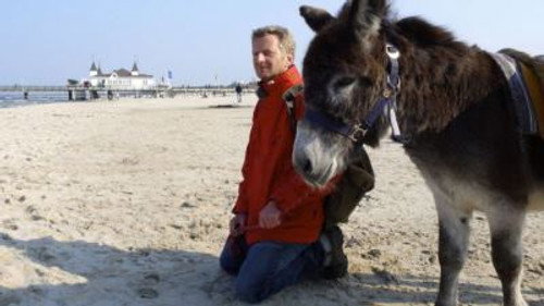 Mit dem Esel zur Ostsee (4) still