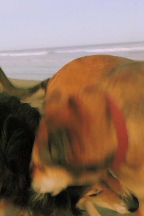 From The 20s In the 80s poster