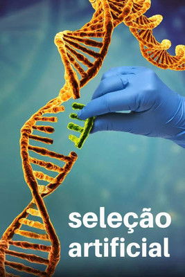 Image Seleção Artificial