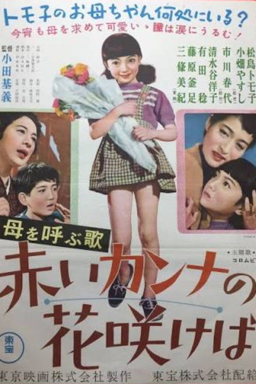 赤いカンナの花咲けば