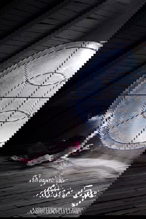 Through the Attic's Eye