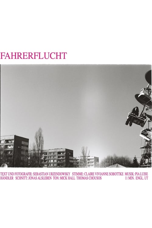 Fahrerflucht 2011