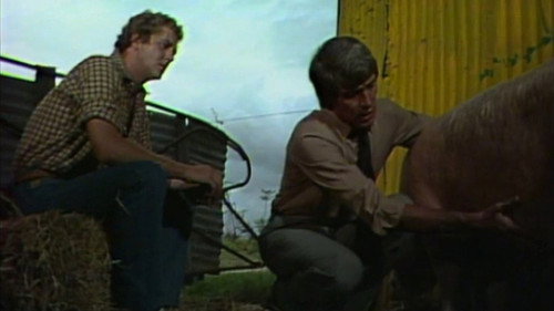 Folge 31