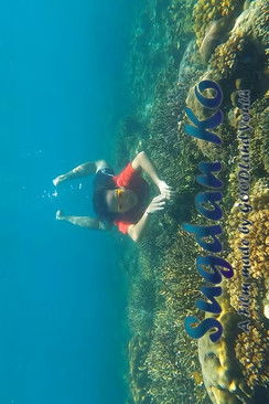 It Starts With Me poster