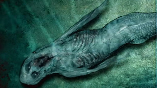 Mermaids still