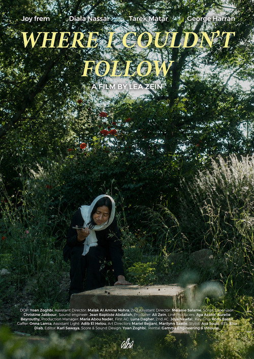 Where I Couldn't Follow
