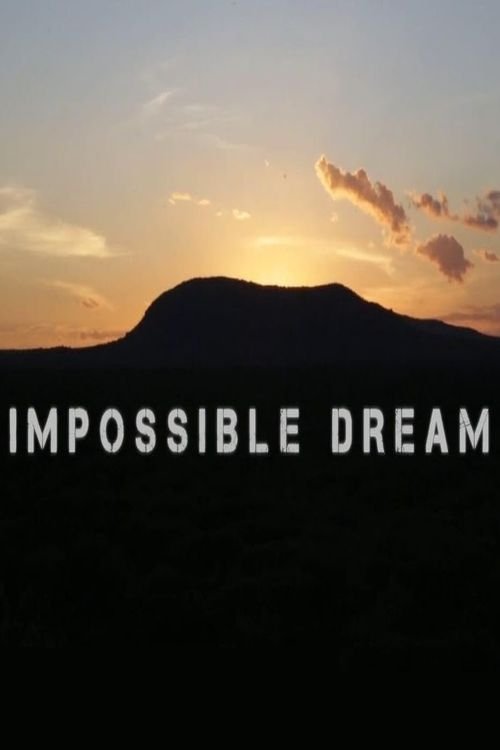 Impossible Dream (2017) poster