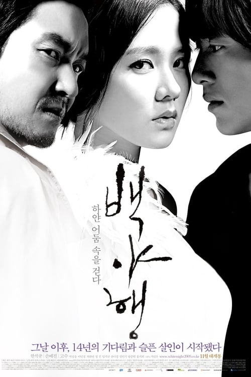 백야행: 하얀 어둠 속을 걷다 (2009) poster