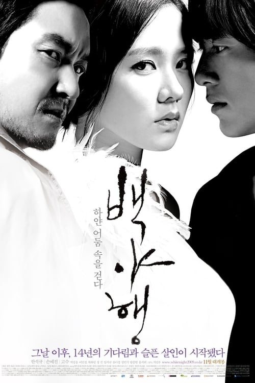 백야행: 하얀 어둠 속을 걷다 movie poster player